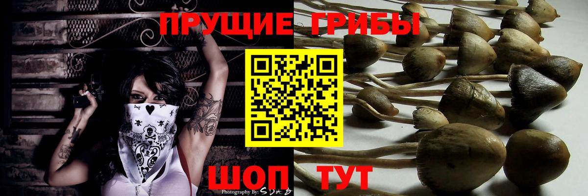 Галлюциногенные грибы прущие грибы Дзержинский